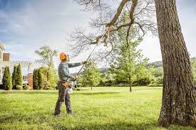 How Our Tree Care Process Works  in  Stuart, FL