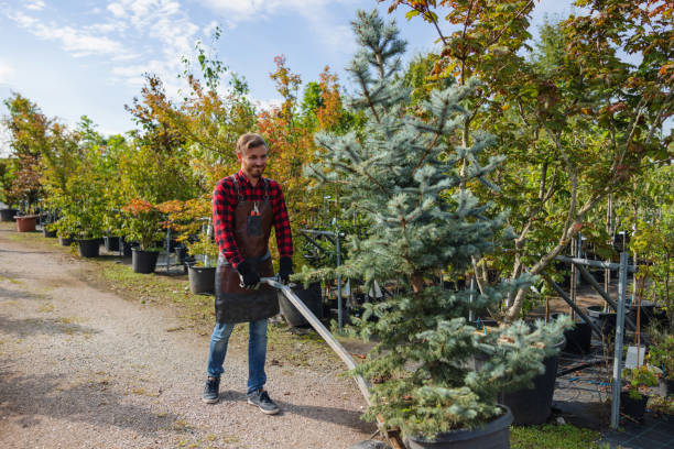 Best Tree Trimming and Pruning  in Stuart, FL